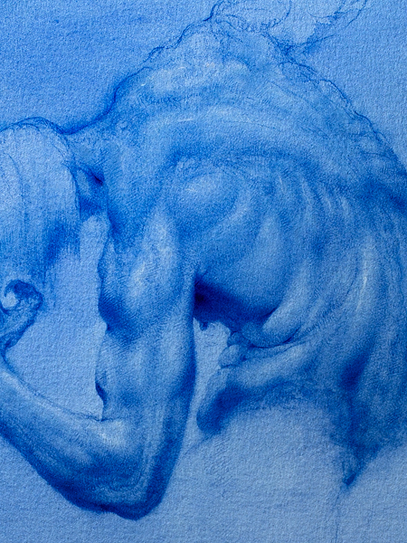 Jonathan Davies Art